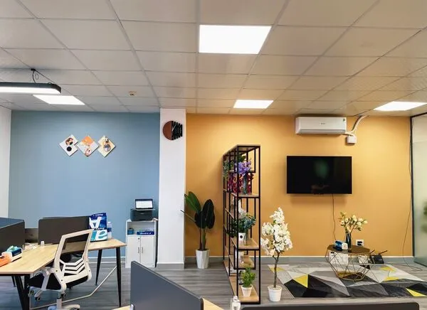 1667212059035 (1)_converted.webp